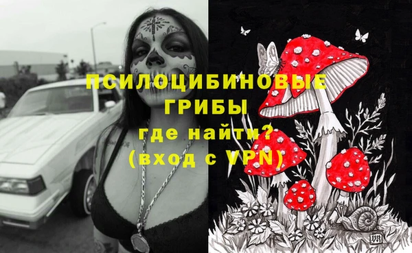 mdpv Лагань