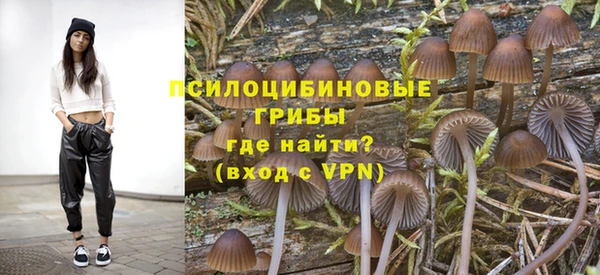 гашик Лабытнанги