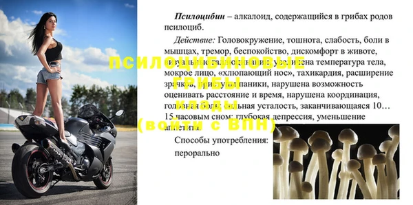 гашик Лабытнанги